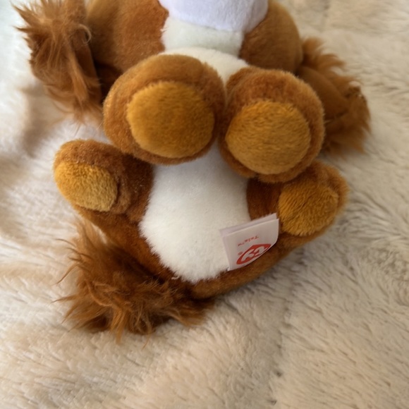 ๐ Preloved Ty Beanie Boo ~ Tala The Dog ๐ - Picture 6 of 7